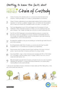 B&Q Forest Forest Chain Activity Sheet checklist