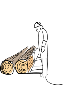 B&Q Forest Friendly Illustration, Timber cutting