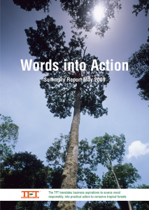 Tropical Forest Trust Summary report