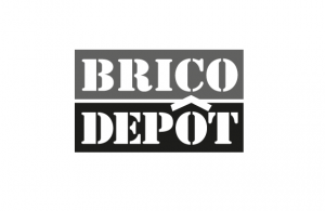Client Logo Brico Depot