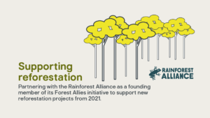 Kingfisher Planet infographic Reforestation individual issue
