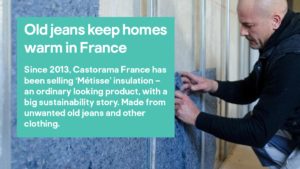 Social Media Insulation Case Study Asset