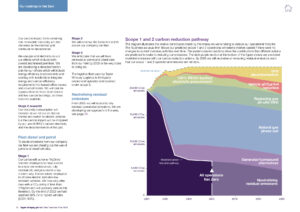 TW NZ Transition Plan 2023 page 16 chart