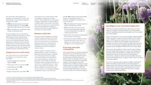 Kingfisher Modern Slavery Statement Report 2025-26 sample page